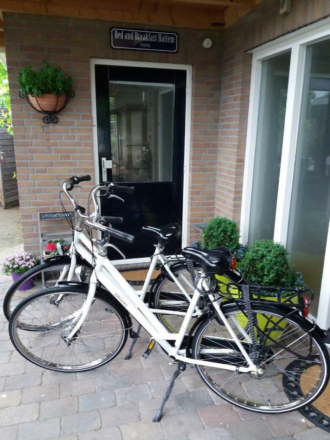 Bed And Breakfast Hattem Exterior foto