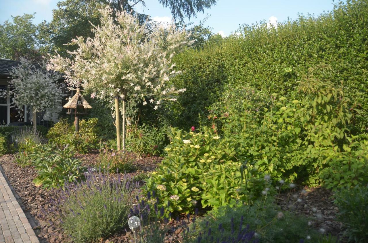 Bed And Breakfast Hattem Exterior foto